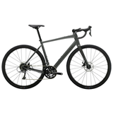 Road Sport - Trek Domane AL 2 4ª geração M, M/L, L, XL
