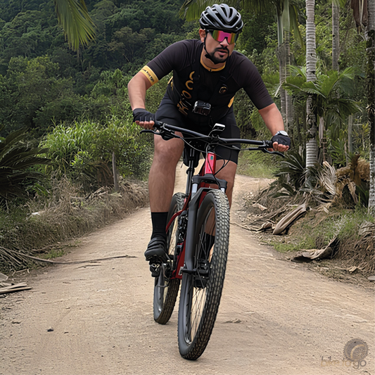 Bike To Go - Floripa
